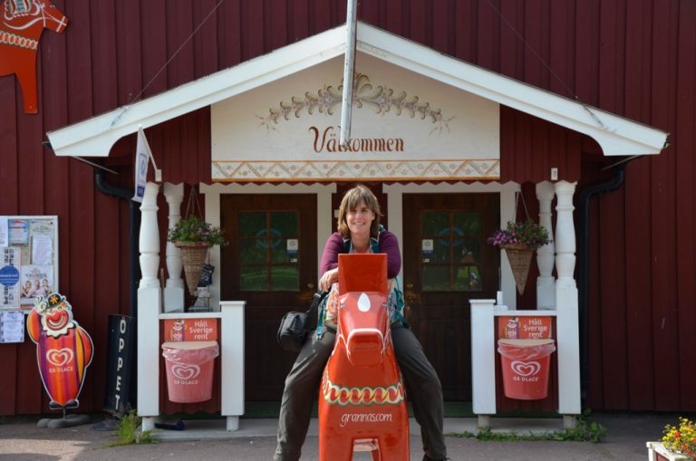 nusnas dalarna